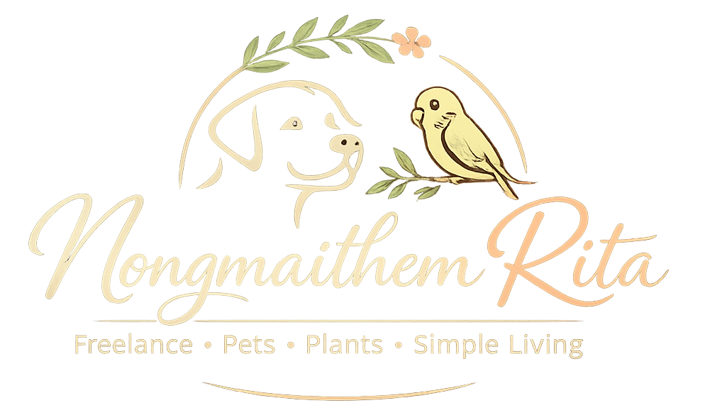 Pets, Plants, Freelancing and Daily Life