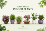 Best pet-safe indoor plants for dogs and cats in India