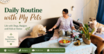 Woman feeding multiple dogs at home during daily routine with pets in a pet-friendly living space